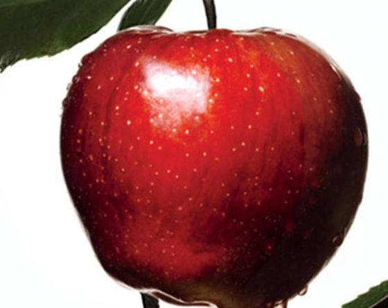 Benefits Of Organic Diet